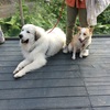 この差