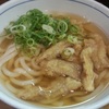 ごぼう天うどん