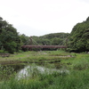 7/16　大和市・引地川公園 泉の森へ