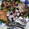 岩タコ・アワビ・サザエ・赤貝・鰯の刺身