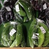 直売所でゴーヤ一袋150円だった(*_*)