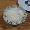 炊きたてのご飯.