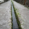 島原武家屋敷跡の水路。