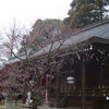 北野天満宮の梅
