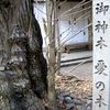 愛の木