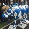 麦わら帽子がお似合い
