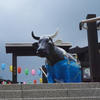 牛さんに見下されてる
