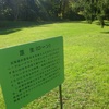 洋芝…牧草だそうです。ぽっかぽか～