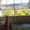 温泉から紅葉…(笑)