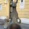 リュブリャナ（カンガルーの水飲み場）