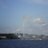 柴山潟、噴水が上がり・・