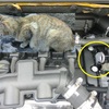 こんな具合に横たわり、この辺りには糞尿が・・・