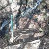 登山道にまで水が流れてました