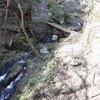 登山道はかなり分かりやすい