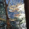 ちょっとだけ紅葉の名残が☆