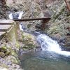 夫婦滝へのアプローチ☆
