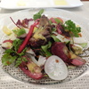 木曽川窒息鴨のサラダ