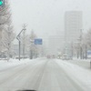 札幌市内も吹雪いてますねぇ