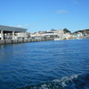 三崎港へ