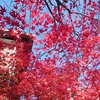 嵐山オルゴール博物館前の紅葉☆