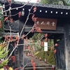 常寂光寺☆