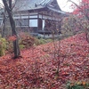 紅く染まる地面