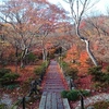 宝篋院の紅葉は・・・