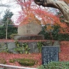 紅葉の名残・・・