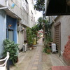 昼間の路地。どんなお店さんがあるのかな？ワクワク♪