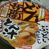 どん兵衛・とん汁うどん