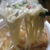 ぶっとうどん