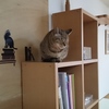 うつらうつら・・・