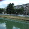 杉妻小学校前の川に居ました