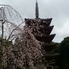 五重塔と桜☆