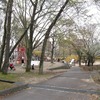 公園もあります