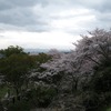 高台から