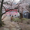 立雲峡桜まつり期間中は駐車が有料