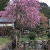 佛隆寺のお庭