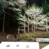 駐車場から登山口へ☆