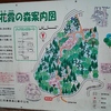 樽見の大桜周辺マップ☆