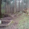 整備された登山道？
