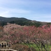 山々に囲まれた大宇陀地区