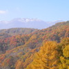 八ヶ岳の紅葉だ