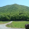 おまけ・新緑の虚空蔵山☆