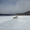 見えてきた
