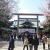 靖国神社の桜