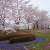 2016.4.10宮城県川崎町みちのく湖畔公園