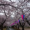 2016.4.17山形県東根市堂の前公園