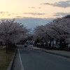 2016.4.14山形市馬見ヶ崎さくらライン