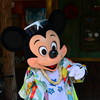 ミッキーさん登場